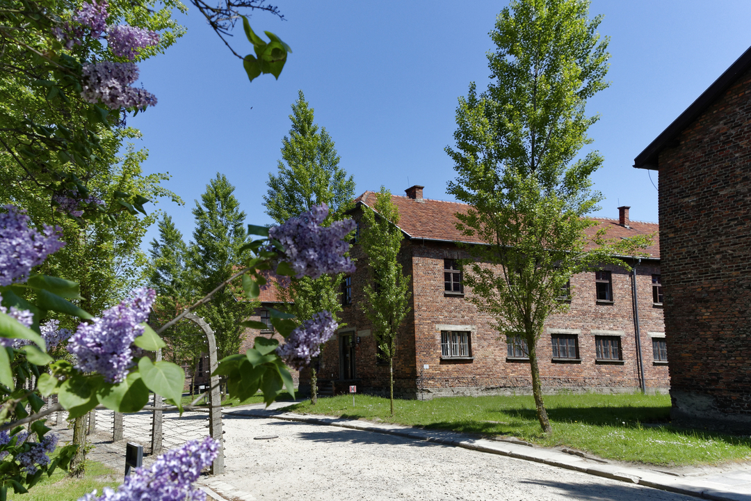 20160511 130306•Auschwitz Concentration Camp•Oswiecim•Lesser Poland•Poland